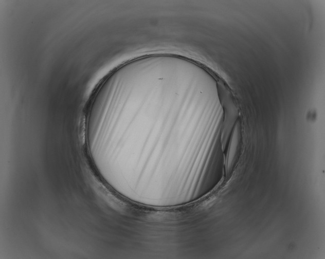 X0000088891510200707061420