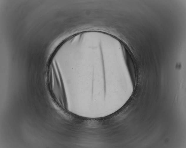 X0000088891511200707061420