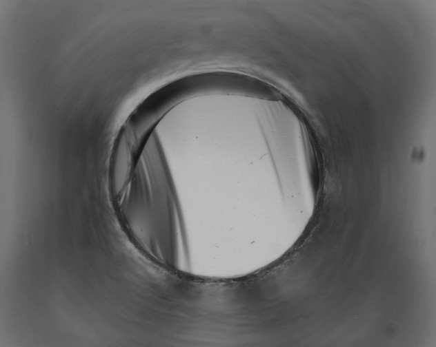 X0000088891512200707061420