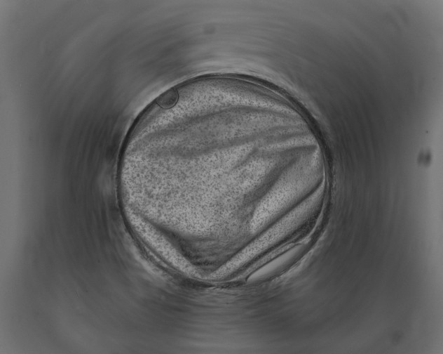 X0000088891513200707061421