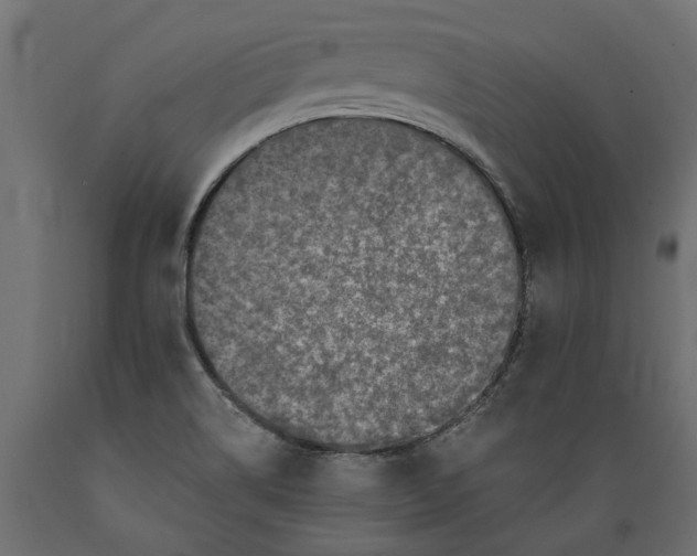 X0000088891514200707061421