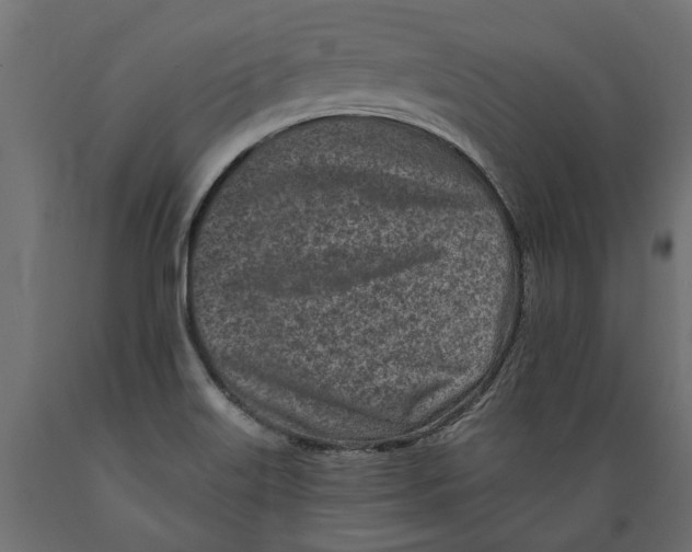 X0000088891515200707061421