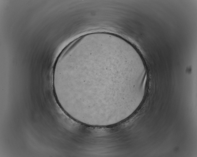 X0000088891516200707061421