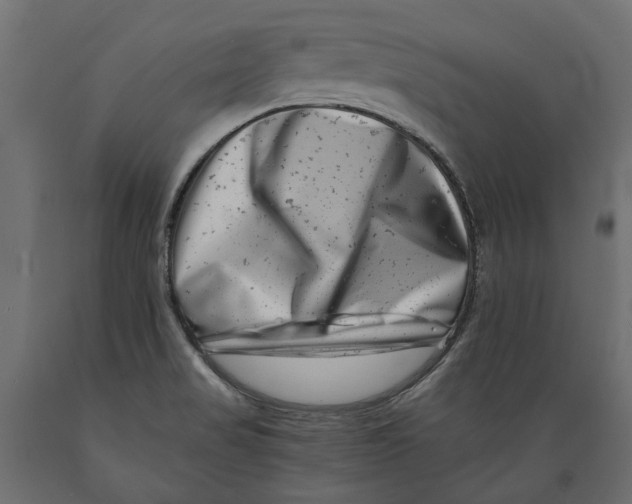 X0000088891517200707061421
