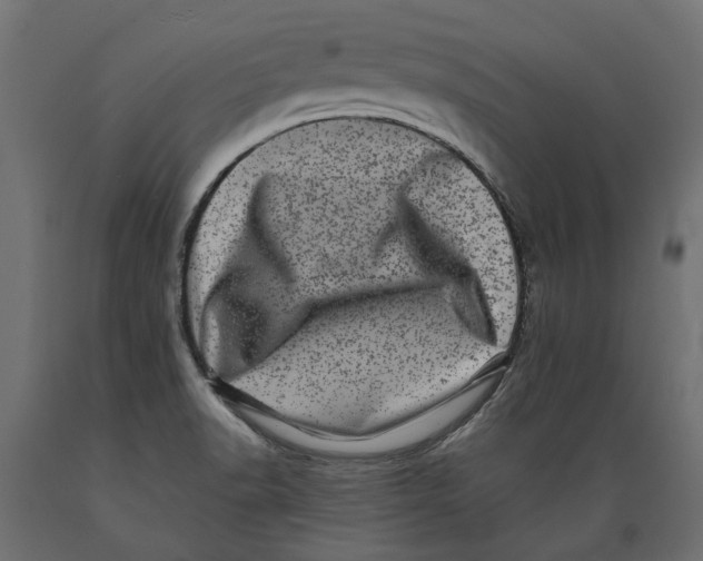 X0000088891518200707061421