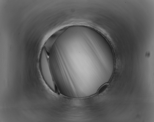 X0000088891520200707061421