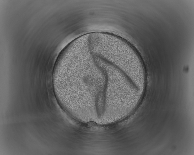 X0000088891521200707061421
