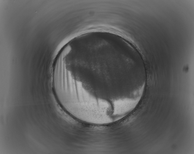 X0000088891522200707061421