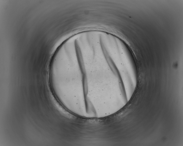 X0000088891523200707061421