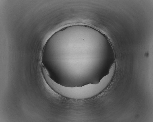 X0000088891524200707061421