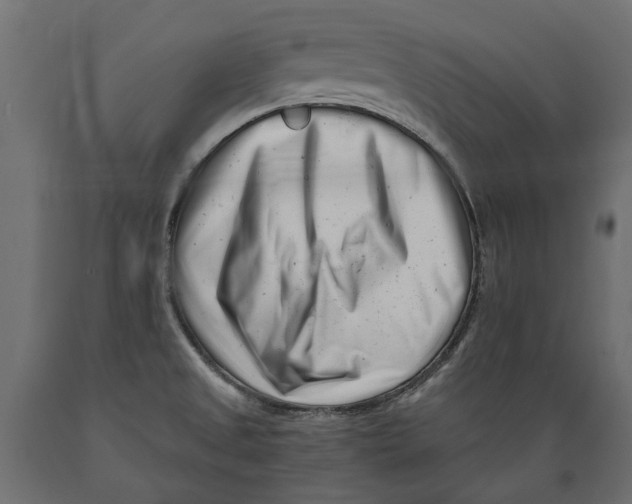 X0000088891525200707061421