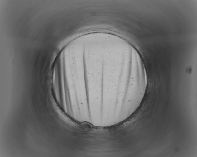 X0000088891526200707061421