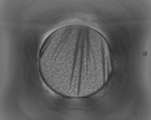 X0000088891527200707061421