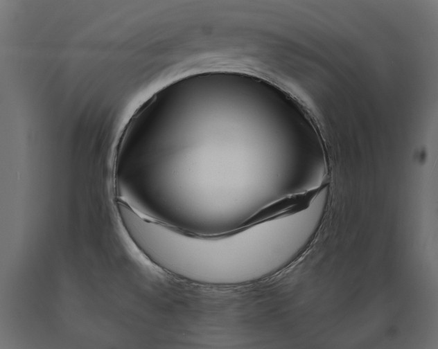 X0000088891528200707061421