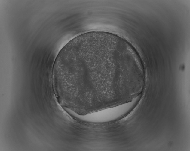 X0000088891529200707061421