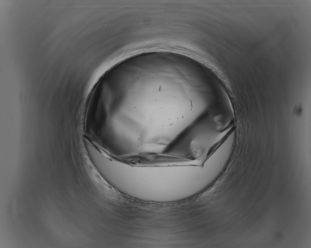 X0000088891530200707061421