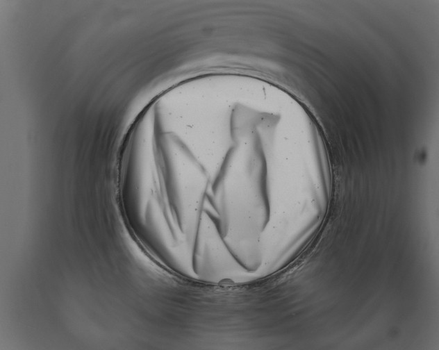 X0000088891531200707061421