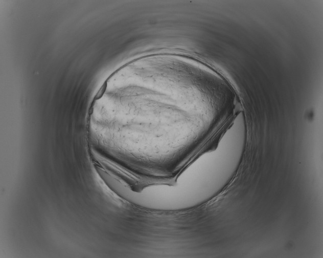 X0000088891532200707061421