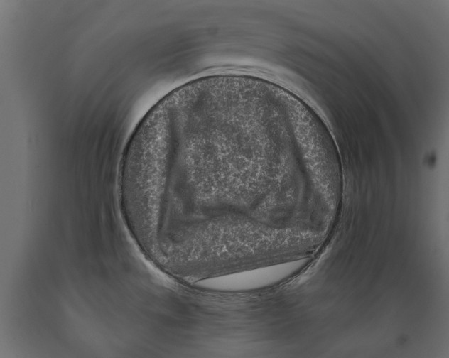 X0000088891533200707061421