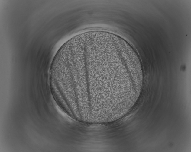 X0000088891535200707061421