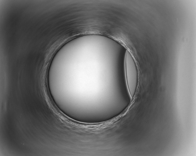 X0000088900001200706080836