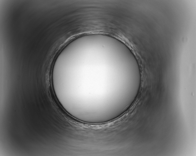 X0000088900002200706080836