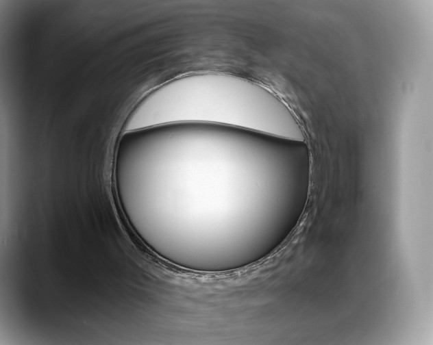 X0000088900003200706080836