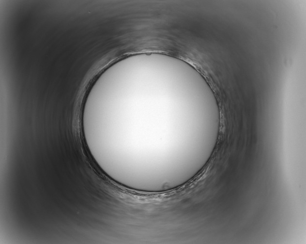 X0000088900004200706080836