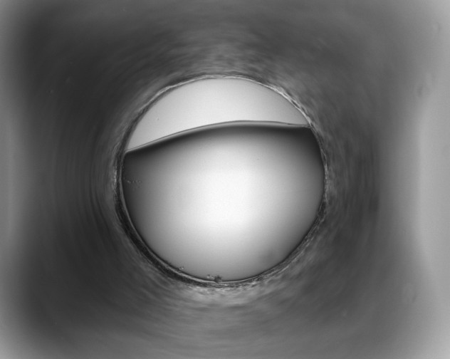 X0000088900005200706080836