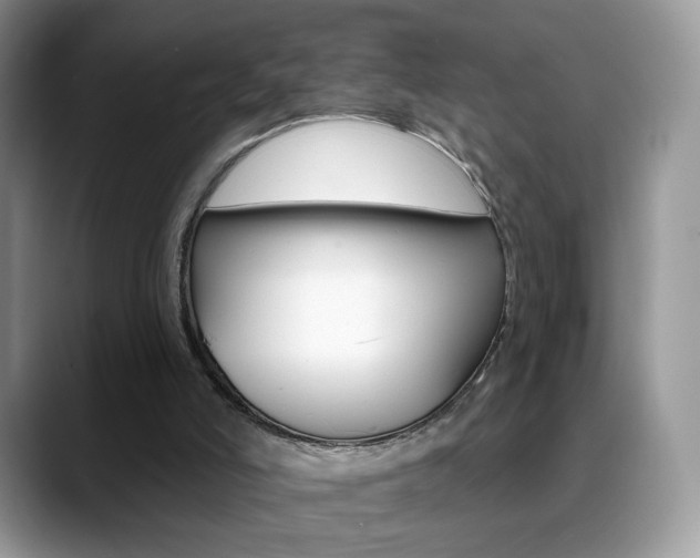 X0000088900006200706080836