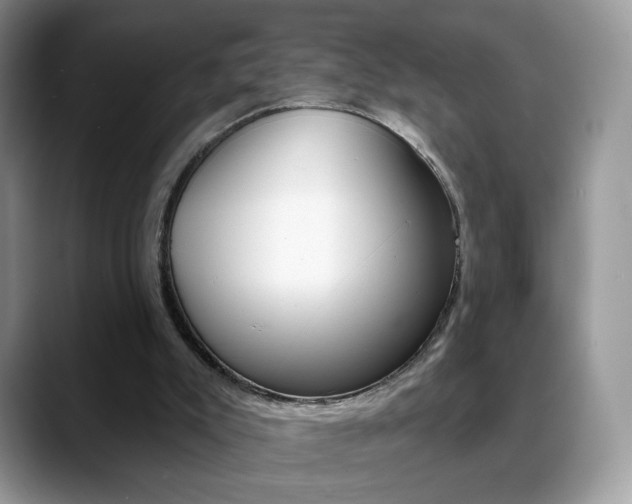 X0000088900007200706080836