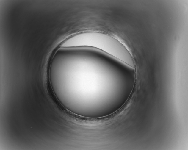X0000088900008200706080836