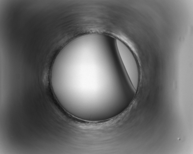 X0000088900009200706080836
