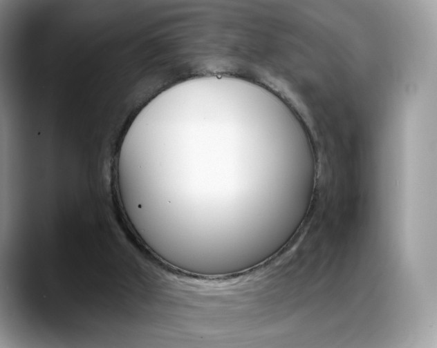 X0000088900010200706080836