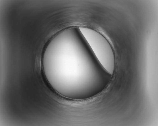 X0000088900011200706080836