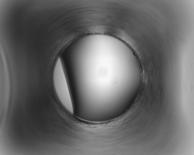 X0000088900013200706080836