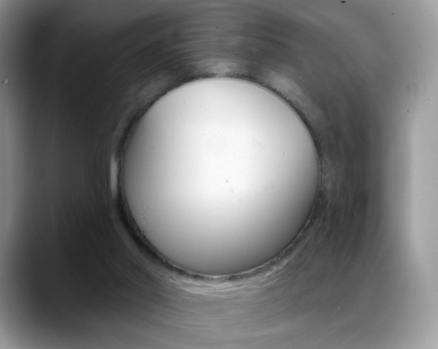 X0000088900014200706080836