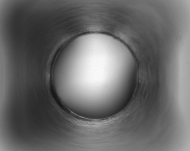 X0000088900015200706080836