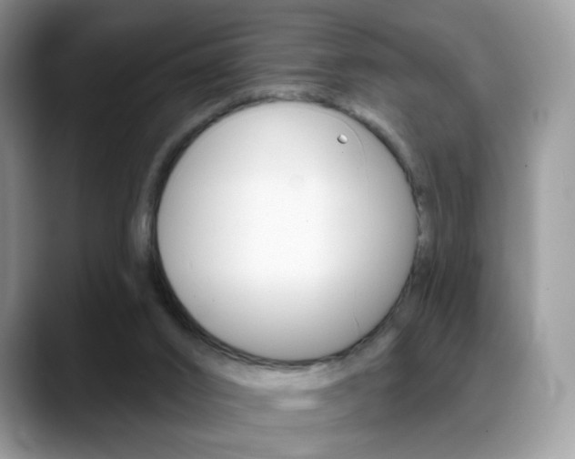 X0000088900016200706080836