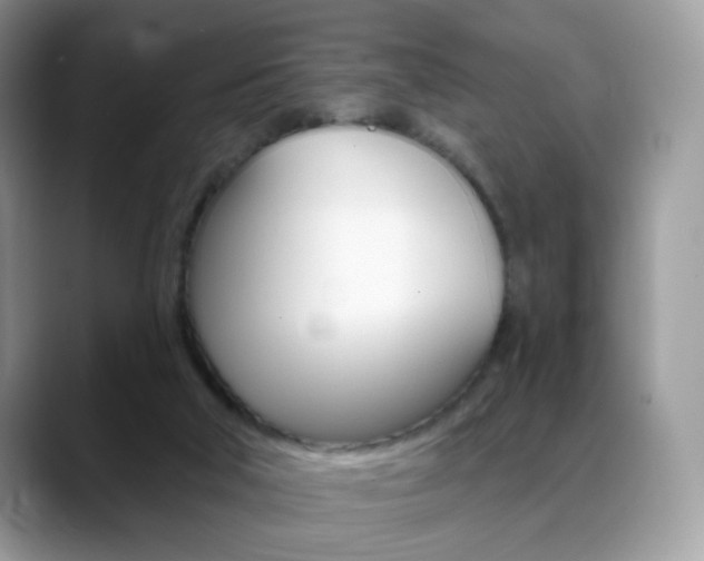 X0000088900018200706080836