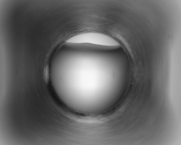 X0000088900020200706080835