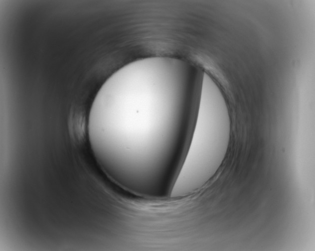 X0000088900021200706080835