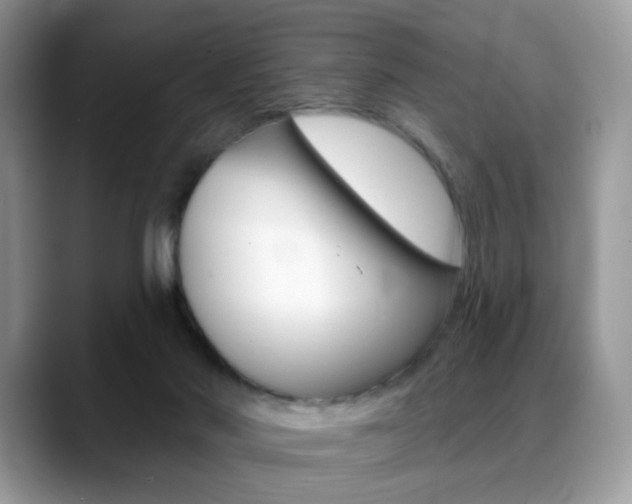 X0000088900022200706080835