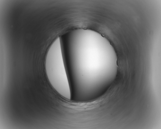 X0000088900023200706080835