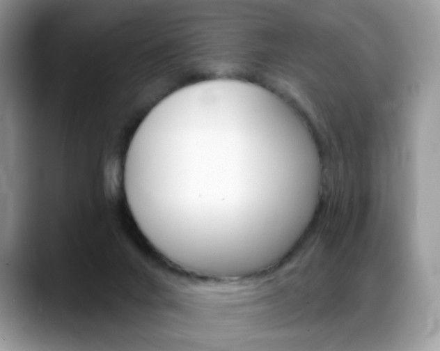 X0000088900024200706080835