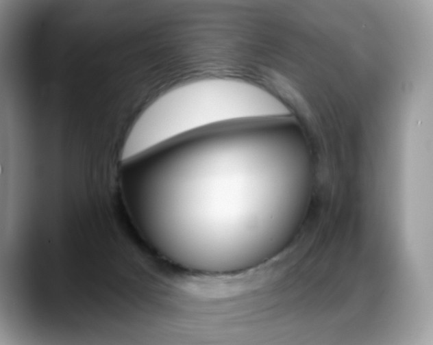 X0000088900025200706080835