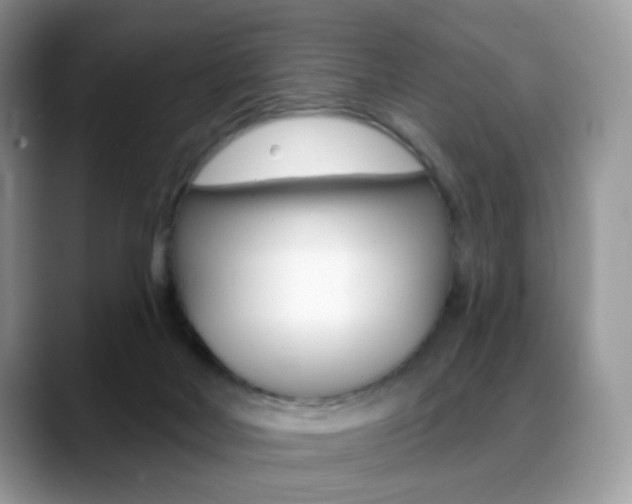 X0000088900026200706080835