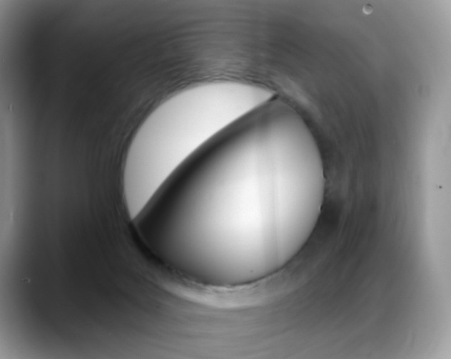 X0000088900027200706080835