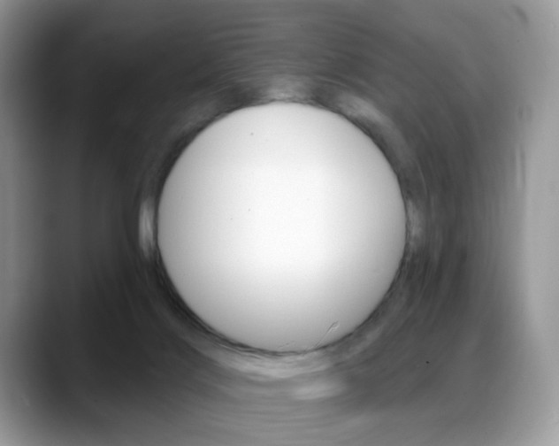 X0000088900028200706080835