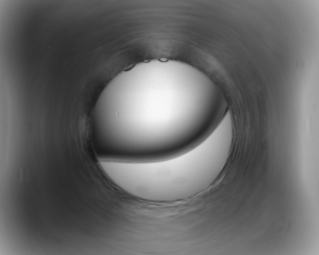 X0000088900029200706080835